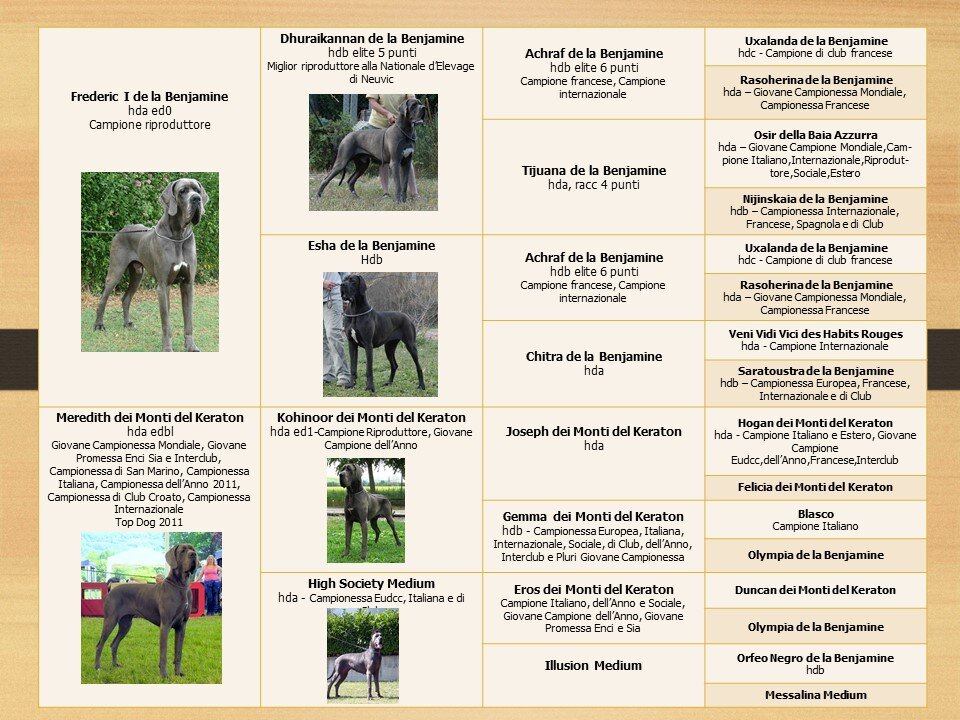 d9cc9d7e-4ec5-4a60-a4c9-bbdb5b123d3f