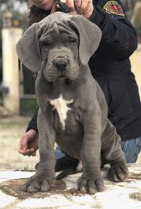 7fdcf633-e6d0-4496-a944-e4a8c89e00ec