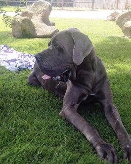 519aeb42-9fe9-4007-b424-1b77d2b3890b