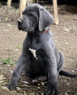 62b1cd48-0f91-4b54-b806-2dd8618e05f6