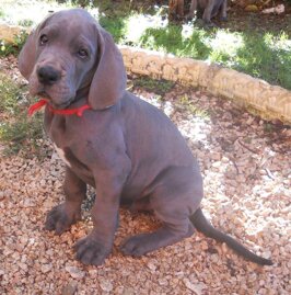 4d0d6308-62d8-4340-ae33-204d3ccd0a80