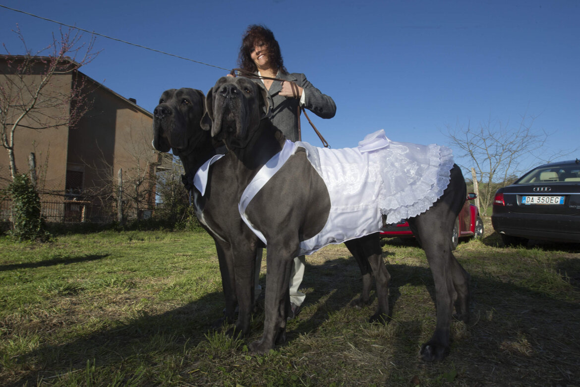 0a38f252-034b-4428-8420-1afc83e6c608