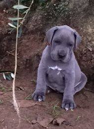 d107740b-088c-4790-83be-b1246977b98e