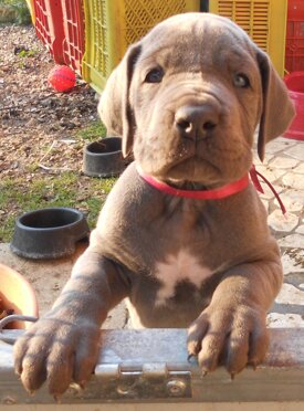 57728afb-07e2-44fd-bd55-af4de1ef9d58