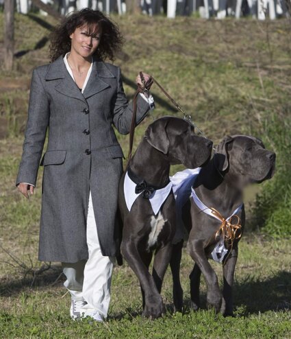 446c858c-b4c7-4071-8741-b663253bb162