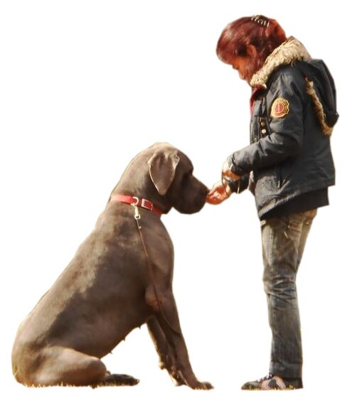 7abefcd7-2d51-4537-9eb9-f1c8c5fcfdf8