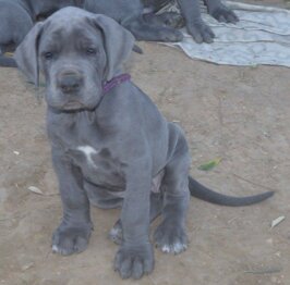 af7c799d-1083-4233-8d05-fb32349b9f51