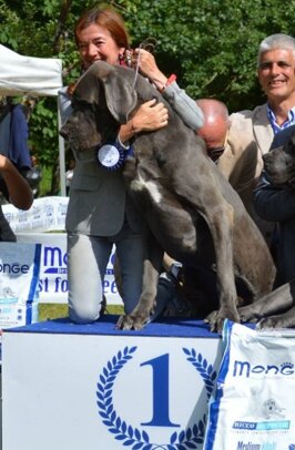 c3390b4d-1ac2-4c1f-a686-9ff08f4556aa