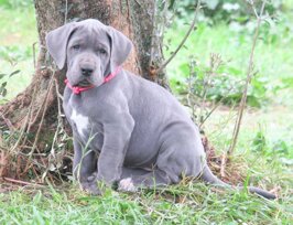 3e920c99-ac3e-4803-94ba-af37804486ef