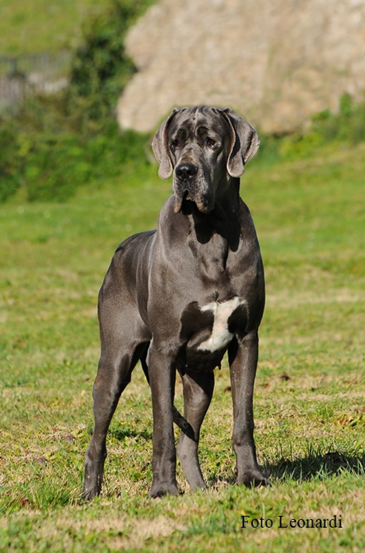 1b1049c0-8c69-4d0e-868f-72912cf8ec81