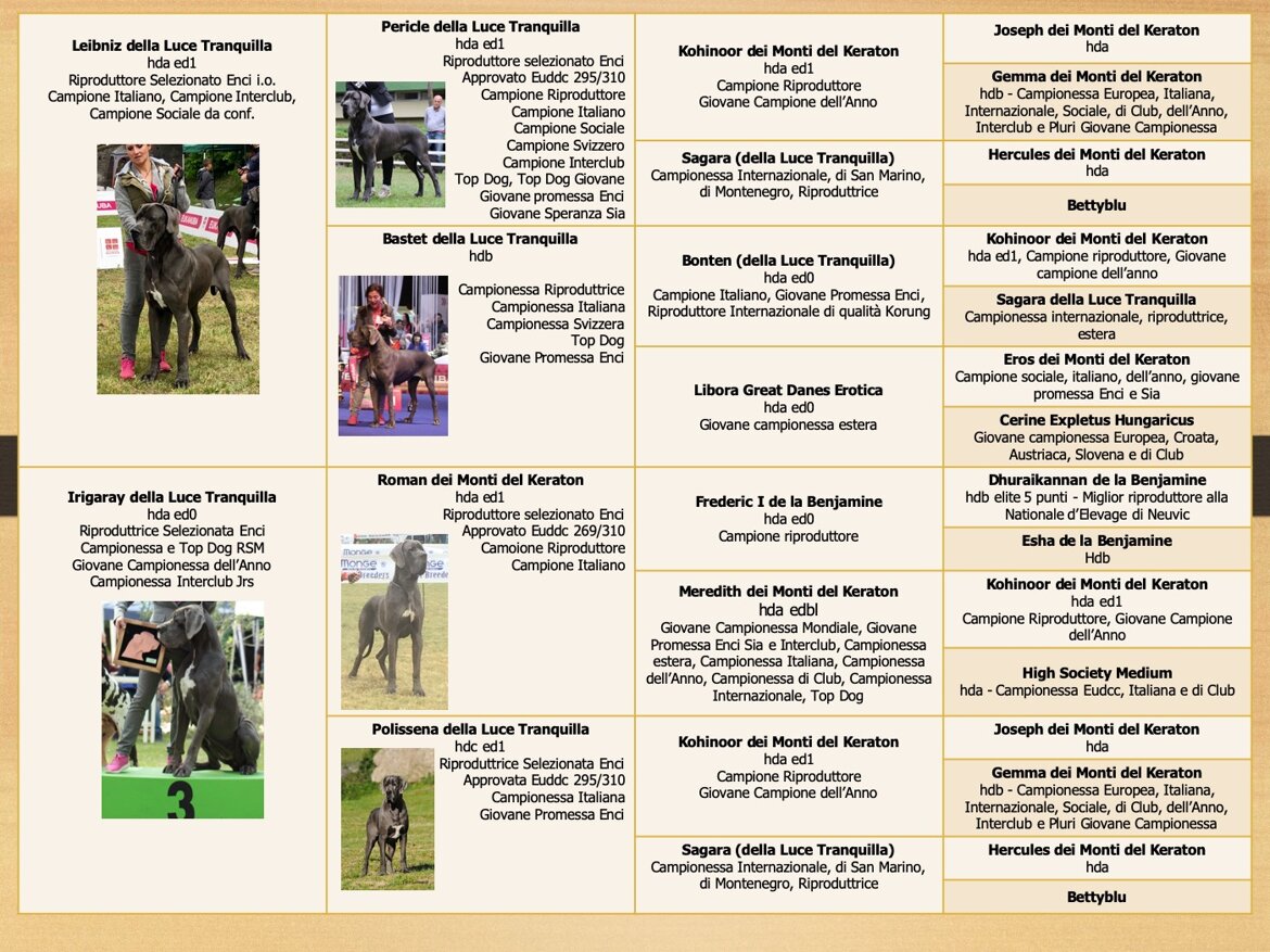 698bb65c-c116-400b-a6c3-02ce62d50075