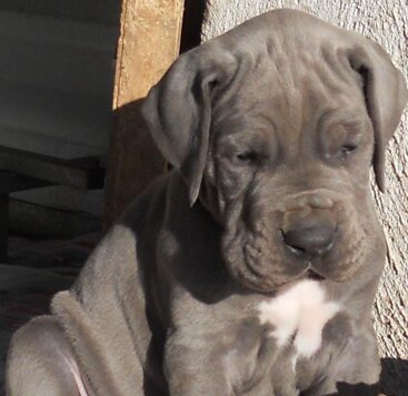 9716c9b1-815e-417e-94d1-efd3e266b8de