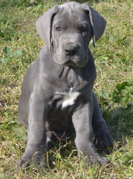 f85d77c8-601b-4875-a6a2-88127d7b77e8