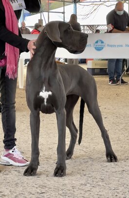 59753398-5f23-4001-b238-f6813b6589f7