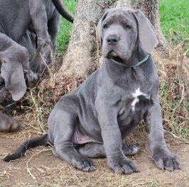 0d254c91-334d-4c94-b64c-1e066737f64e