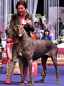 5ab4c4d4-2a15-4f5b-a75a-b6411341c382