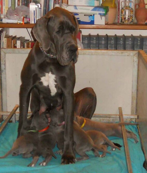 bb42f649-c8a7-4f00-b319-69a146974ac0