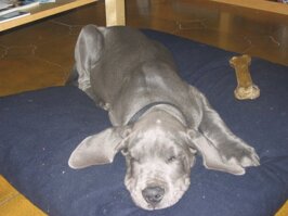 28a07ff5-31bf-413e-b0b4-b2c502442d8c