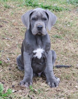 123b7d20-c7c4-4567-b200-f92ba3b25bd7