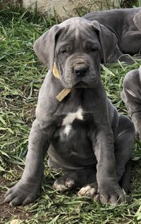 dbfe7ee5-8085-47ad-875a-c9b4f5c0eeec