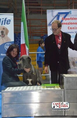 c7238fbb-3022-4319-9e12-516533001121