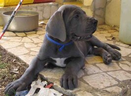 6d2609aa-57e1-420e-b619-697bc6ff195a