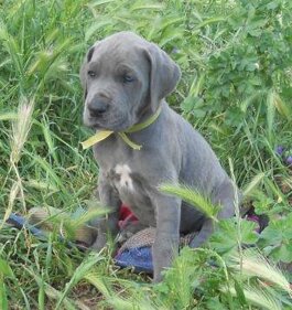 84f1e3ef-30ed-4a8d-b0b6-9060470fe1ee