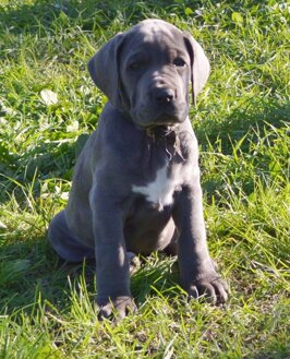 5e47568b-247c-487f-bd0a-3992d234117a