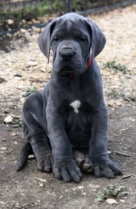 4d6d734d-8a36-45de-87eb-37961bdfb576