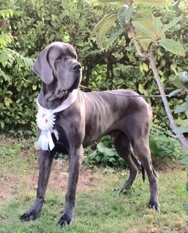 5857a55d-0bcb-478e-bcd8-46a3e1704526