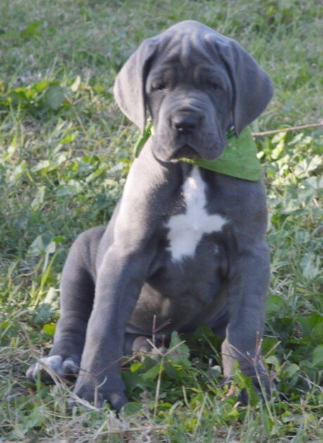 76337f71-c730-43cb-a907-daa82458aee5