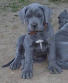 708302a7-aada-4dea-8bc6-23c78f1a1e36