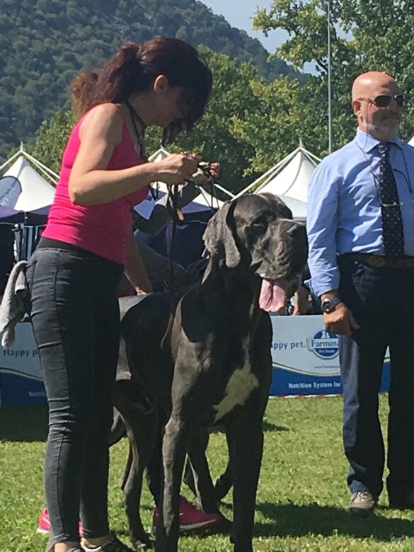 b2444895-b291-4962-8bb8-5ebc06ed2de3