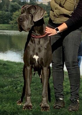 65443e07-b1cf-4e16-b410-e3761d655a52