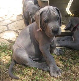 61f6f701-e24f-4bdf-85a7-70fbe148db0a