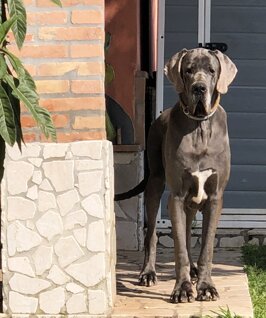 536cc10a-5ed3-447d-8ea4-ddb73b90e142