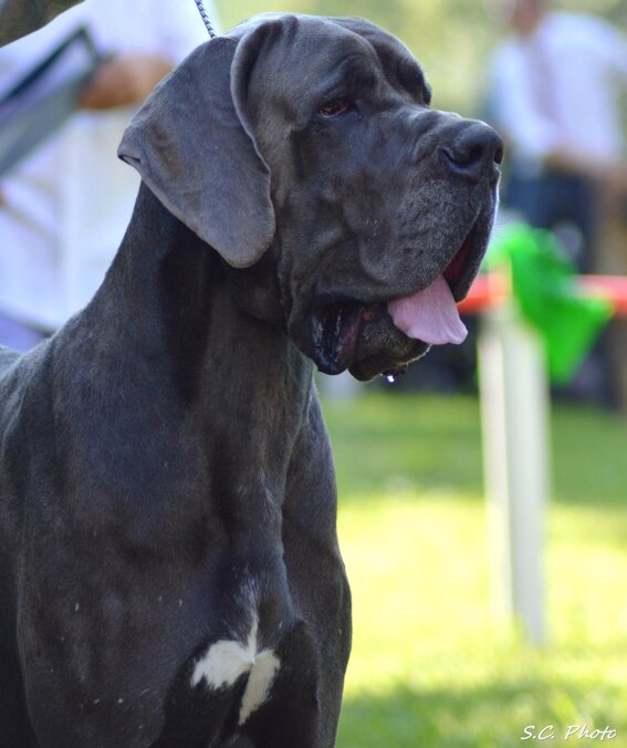 6b61cf49-fe0a-4286-83fe-dbe595b5773b