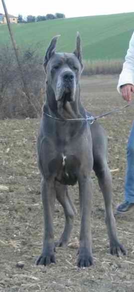 7fda7eae-3593-41a9-b772-492d3bd1f1d1