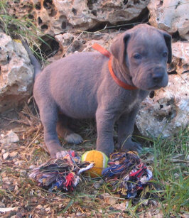 c05140f1-7490-438f-a55d-4225f5853114