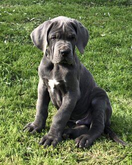 844bd1fe-0b47-48a4-897e-c02a6b681df9