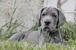 486a5a3b-f3d9-4478-ba40-2d521f193c56