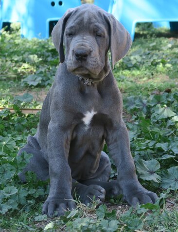 44f682eb-ce56-4f98-af64-eb1b31178a6d