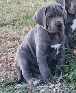 a2f9fe61-255c-4ee5-ae22-5ddd0b6f39a3