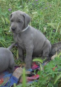 627fb354-52b3-4c2b-a96b-f97204b04ce2