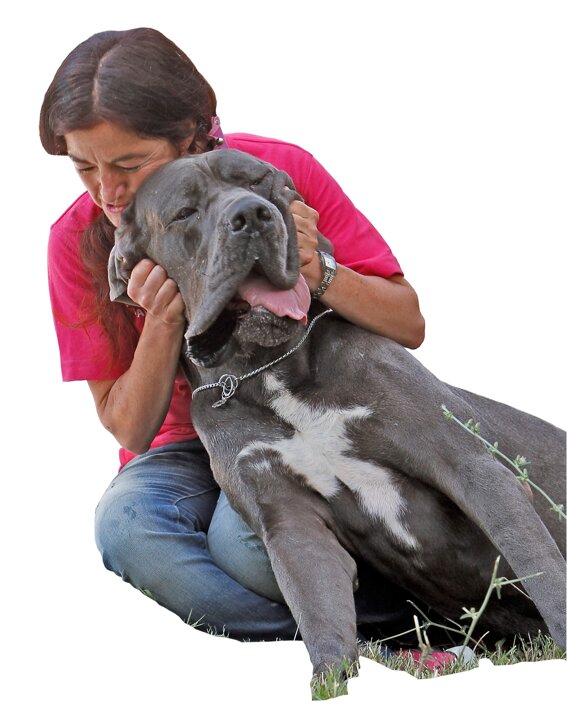 114f715e-ec41-4765-99a6-0ad38b443e36