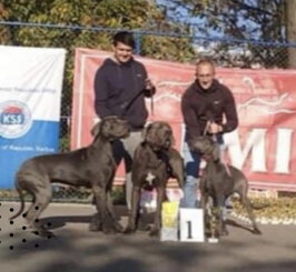 cd70cff4-da9c-45b9-bfa7-97fc33c21ff0