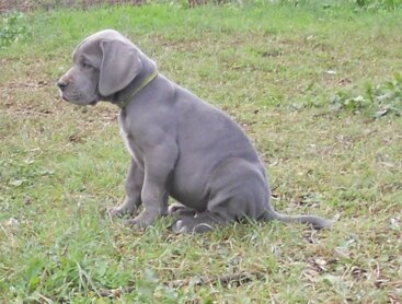 f38cb0a4-d3ba-4e75-8183-98fa428db12c