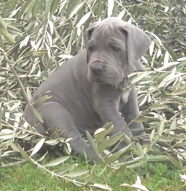 ae4417e7-22c8-467b-b9c6-39757cf397fb