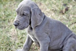 3471ce31-895b-41da-b201-d3be4ca6dd85