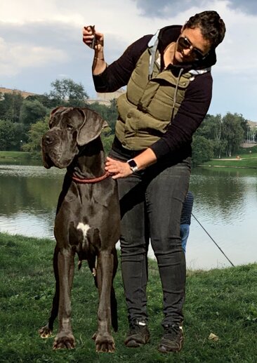 2b9deeca-2f66-44ef-ae40-6330f2603745